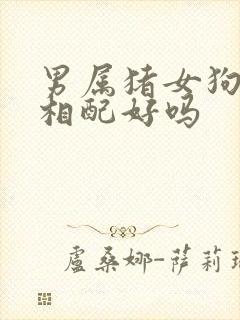 男属猪女狗婚姻相配好吗