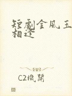 短剧金风玉露一相逢