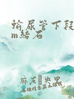 输尿管下段4mm结石