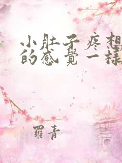 小肚子疼想拉屎的感觉一样怎么回事