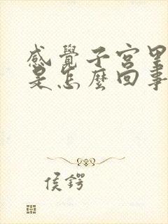 感觉子宫里面疼是怎么回事