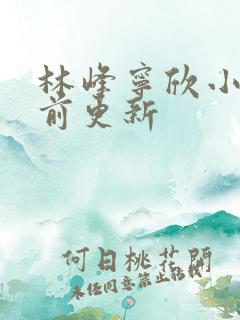 林峰宁欣小说超前更新