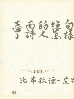 志南的绝句表达了诗人怎样的情感