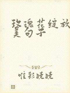 玫瑰花绽放的优美句子