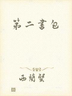 第二书包