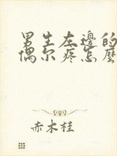 男生左边的蛋蛋偶尔疼怎么回事