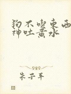 狗不吃东西没精神吐黄水