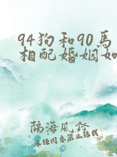 94狗和90马相配婚姻如何