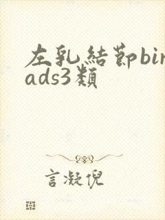 左乳结节birads3类