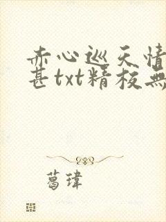 赤心巡天情何以甚txt精校无错版