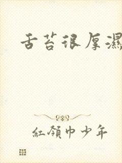 舌苔很厚湿气重