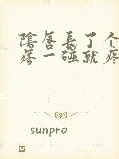 阴唇长了个硬疙瘩一碰就疼