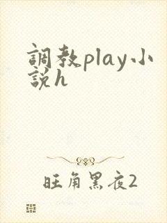 调教play小说h