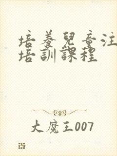 培养儿童注意力培训课程