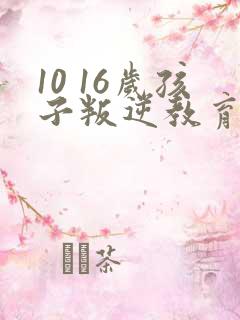 10 16岁孩子叛逆教育方法