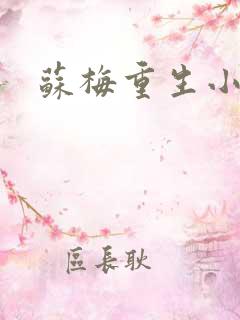 苏梅重生小说