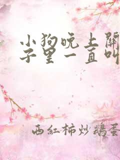 小狗晚上关在笼子里一直叫怎么办