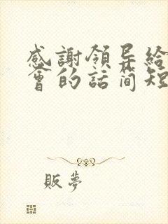 感谢领导给的机会的话简短精辟