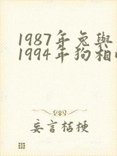 1987年兔与1994年狗相配吗