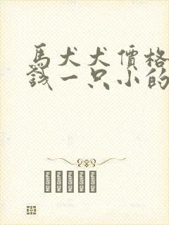 马犬犬价格多少钱一只小的