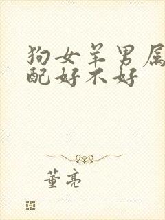 狗女羊男属相婚配好不好