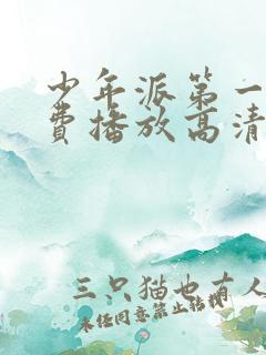 少年派第一季免费播放高清