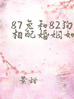 87兔和82狗相配婚姻如何