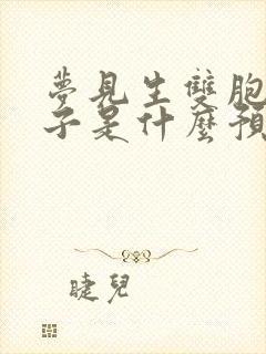 梦见生双胞胎儿子是什么预兆解梦