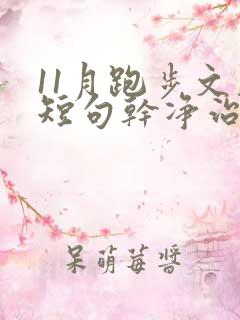 11月跑步文案短句干净治愈