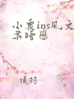 小众ins风文案暗恋