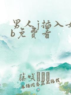 男人j插入女人b免费看