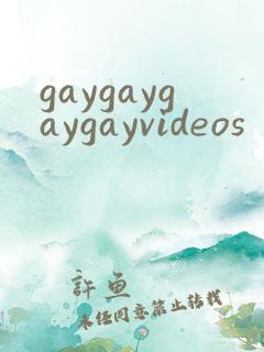 gaygaygaygayvideos