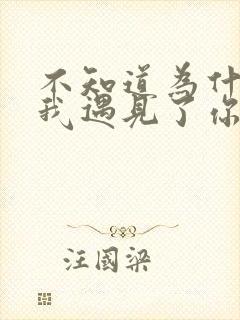 不知道为什么让我遇见了你是什么歌