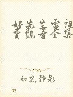 好先生电视剧免费观看全集完整版