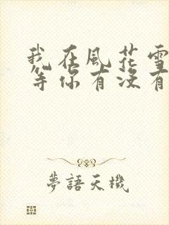 我在风花雪月里等你有没有续集