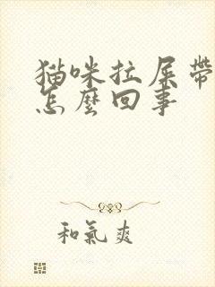 猫咪拉屎带血是怎么回事