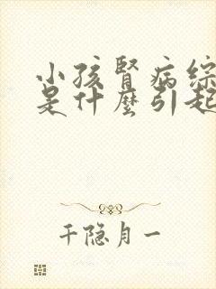 小孩肾病综合症是什么引起的