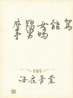 摩羯女能驾驭射手男吗