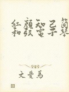 红颜知己简谱带和弦电子琴