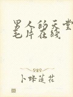 男人的天堂av毛片在线