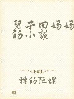 儿子回妈妈老家的小说
