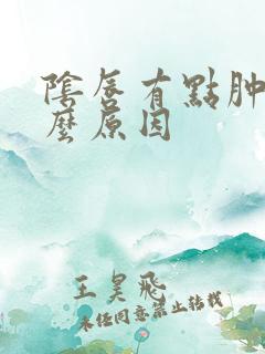 阴唇有点肿是什么原因