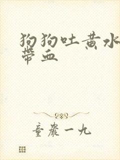 狗狗吐黄水拉稀带血