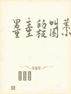 男主的叫叶凡从重生校园小说