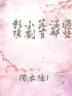 彭小苒演过的电视剧有哪些