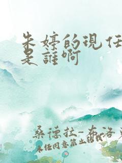 朱婷的现任丈夫是谁啊