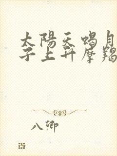 太阳天蝎月亮狮子上升摩羯