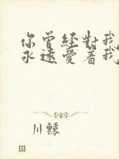 你曾经对我说会永远爱着我是什么歌