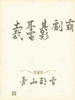 土耳其剧霸道总裁电影