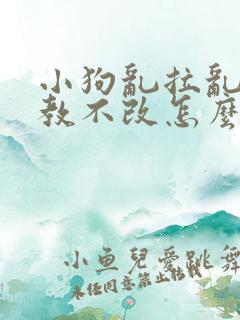 小狗乱拉乱尿屡教不改怎么办